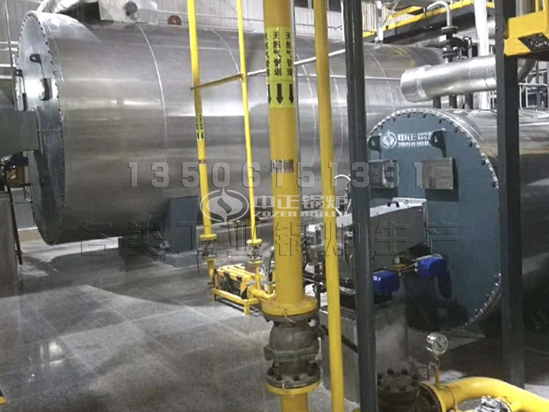莱芜燃气热水锅炉除尘方式 的工作原理